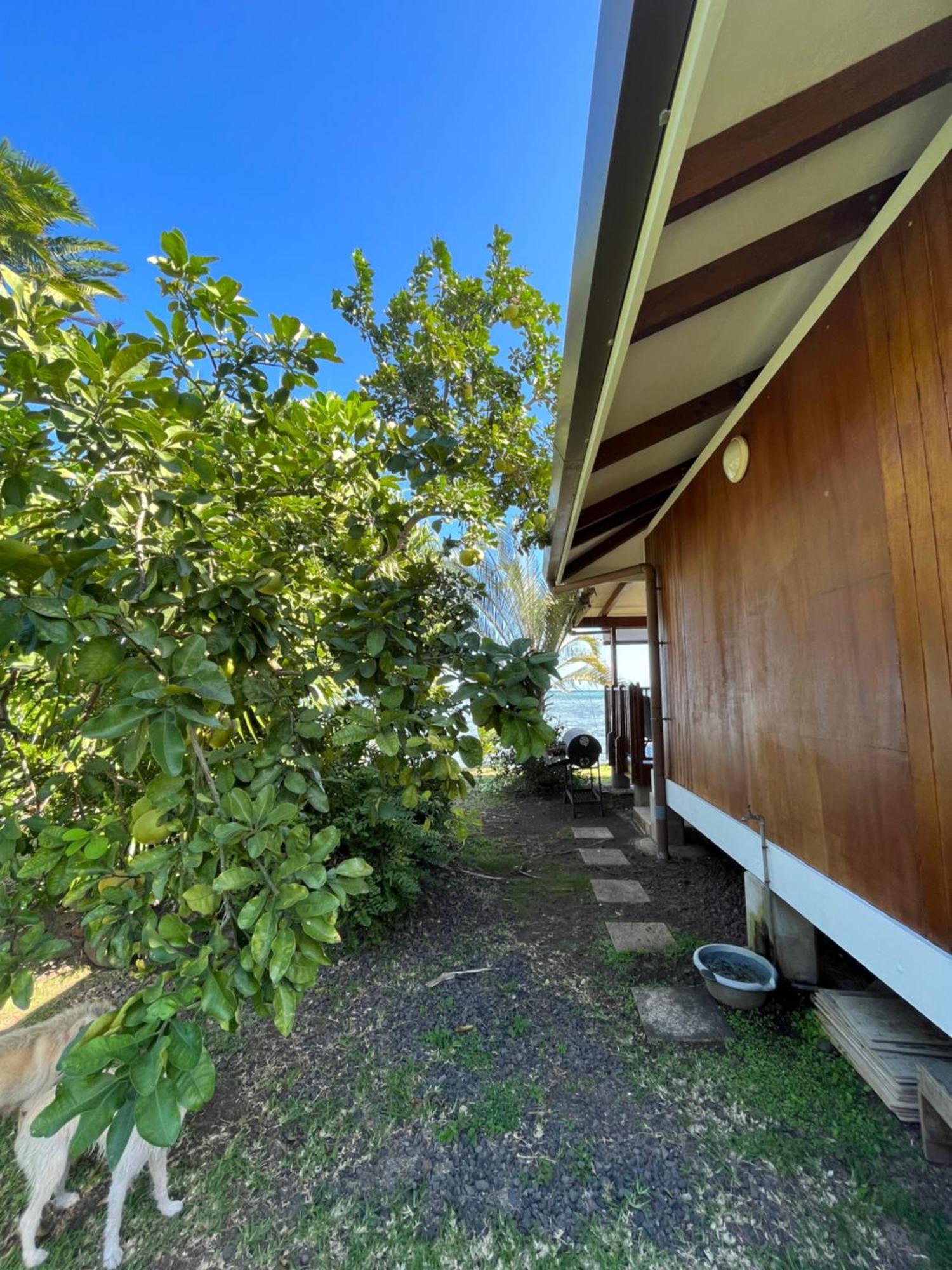 O'Coco Bungalow- Breathtaking Waterfront Views, Endless Memories Paea Luaran gambar